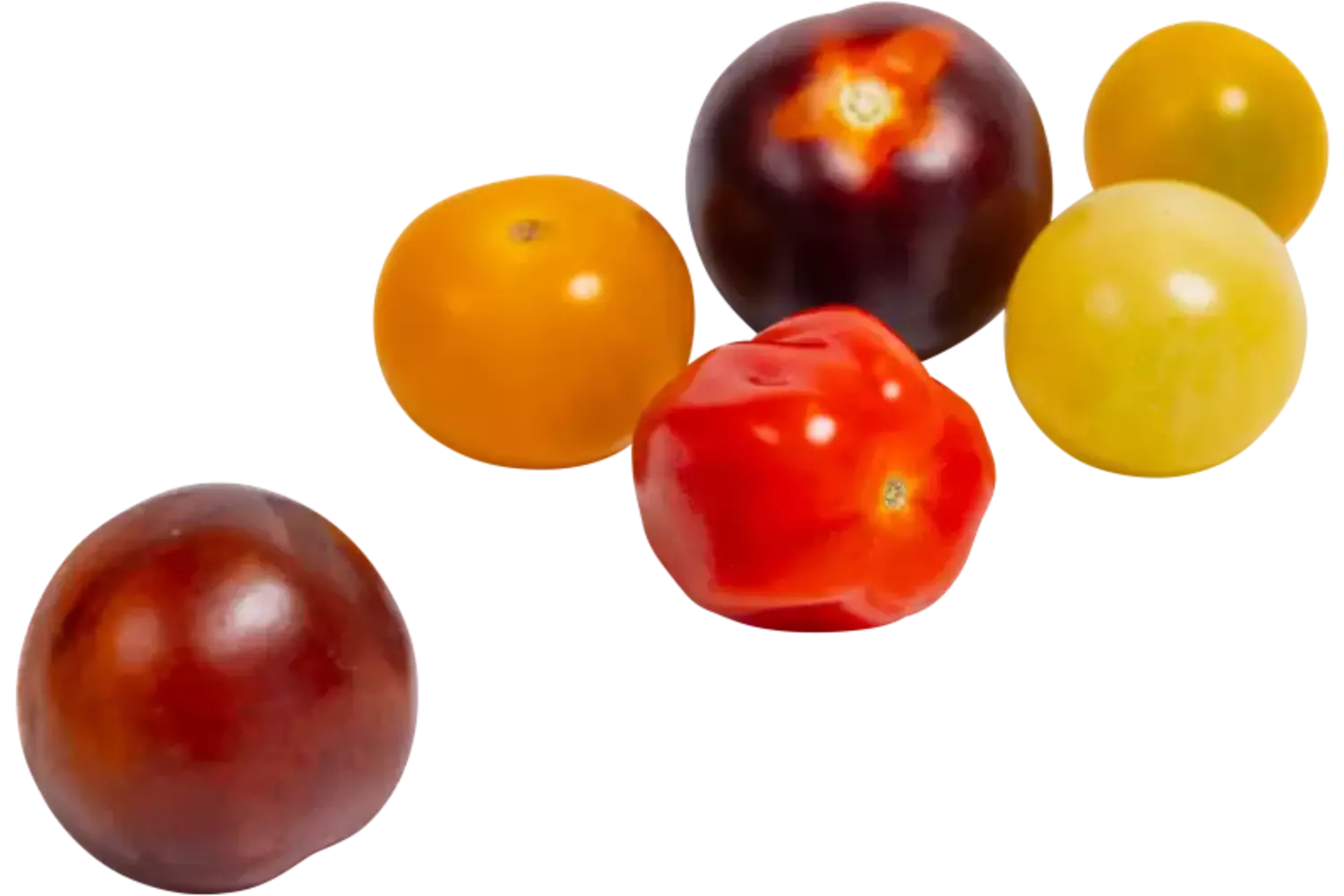 Tomaat cherry mix doos 1,5kg stuk 2